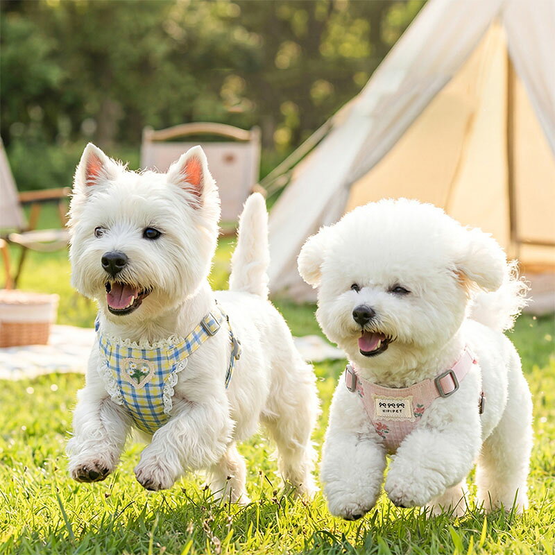 犬 ハーネス リード付き 小型犬 中型犬 ハーネス リード セット 超軽量 通気性 お...