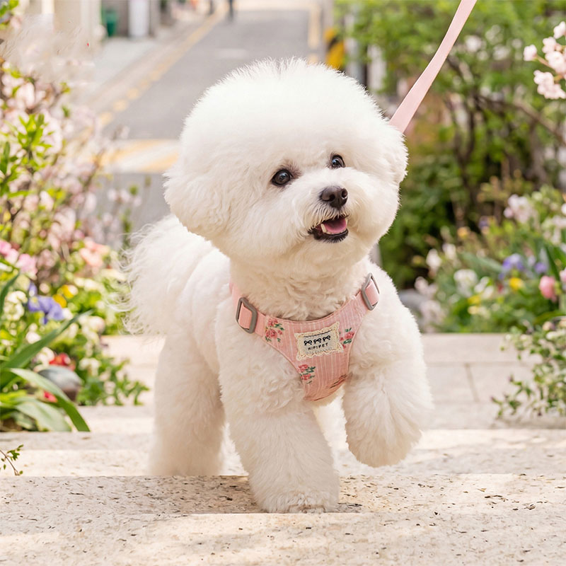 犬 ハーネス リード付き 小型犬 中型犬 ハーネス リード セット 超軽量 通気性 お...