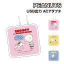 送料無料 ピーナッツ USB/USB Type-C ACアダプタ SNGG-102 /ピンク イエロー ブルー