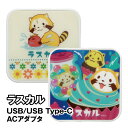 送料無料 ラスカル USB/USB Type-C ACアダプタ MRS-83 / レトロ ポップ