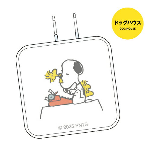 ����̵�� �ԡ��ʥå� USB Type-C AC�����ץ� SNGG-137 / �ɥå��ϥ��� ���㡼�꡼���֥饦�� �롼���� �饤�ʥ� �ڥѡ��ߥ�ȡ��ѥƥ� �ޡ�����