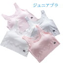 【2枚セット】ジュニアブラ スポブラ 中学生 スポーツブラ 小学生 キッズ 女の子 シームレス スポブラ ナイトブラ 下着 女子 ファーストブラ ノンワイヤー ...