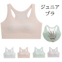 【2枚セット】スポーツブラ ジュニアブラ シームレス キッズ 中学生 小学生 女の子 スポブラ ナイトブラ ノンワイヤー 女子 下着 肌着 ファーストブラ ブラ...