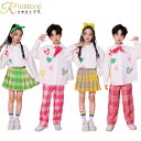 子供ダンス キッズダンス 応援団 hiphop チェック柄 柄シャツ ダンス パンツ スカート おしゃれ 子供服 ヒップホップ キッズダンス衣装 男の子 女の子...