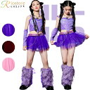 キッズダンス 衣装 紫 へそ出し チア チュール ヒップホップ 赤 韓国 hiphop jazz 子供服 ステージ衣装 派手 女の子 おしゃれ 腕カバー レッグ...