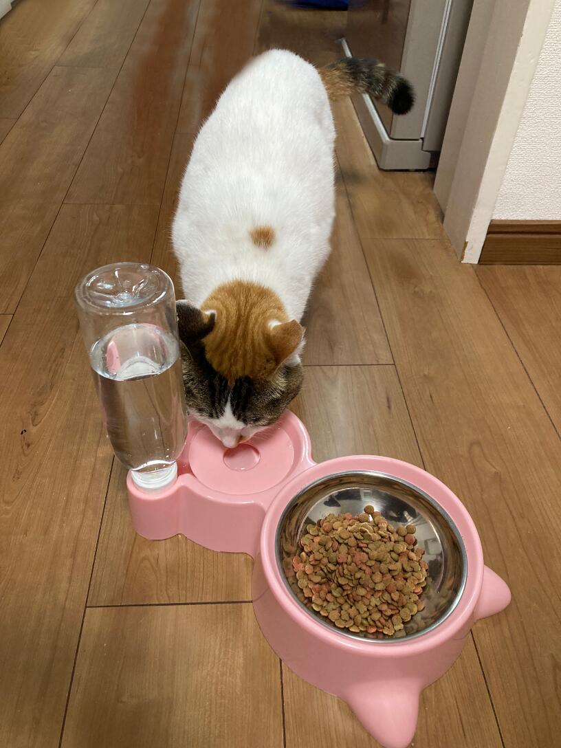 サンプル画像3
