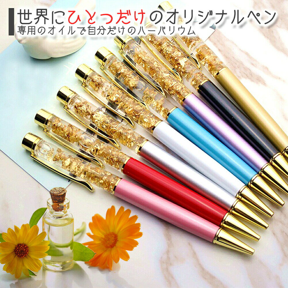 �ڥХ���ꡦ��񥫥顼�����٤롪���ؤ����դ� 27���ϡ��Хꥦ��ܡ���ڥ�/���ϡ��Хꥦ�� �ܡ���ڥ� ���ꥸ�ʥ� ���� ���襤�� �ϥ�ɥᥤ�� £��ʪ ����� �İ��� 1�ܡ���