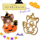 【2個】 パンプキン キャット 魔女 ハロウィン 空枠 レジン枠 / 猫 ねこ カン カン付き ジャック・オ・ランタン ハロウィーン halloween レジン...
