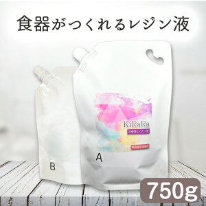 【食品衛生法適合】キララ 2液性レジン液　750g　エポキシ樹脂　／　固まるハーバリウム クリスタル レジン リバーテーブル ハンドメイド 製作 クラフト 大容量 送料無料 アクセサリー お皿 製作 クリア ハード