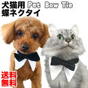 商品仕様 ペット用蝶ネクタイ を付けることであなたの愛犬・愛猫を可愛く変身！ すぐに着脱可能なマジックテープ式。 ペットが嫌がってしまった場合にもすぐに外すことが出来ます。 材質 コットン サイズ(首回り) Sサイズ 23-26cm Mサイズ 26-28cm Lサイズ 28-31cm XLサイズ 33-36cm 生産国 中国 注意事項 ご使用のモニターや照明などにより明るさや色合いが異なる場合がございます。