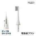 RIORES デンタルスプラッシュ Dental Splash 口腔洗浄機 ポンプ型 SH-0149 専用 電動歯ブラシ