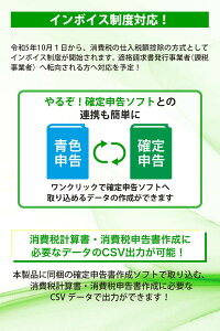 やるぞ！確定申告2024 for Win 令和5年分確定申告 青色申告 消費税申告