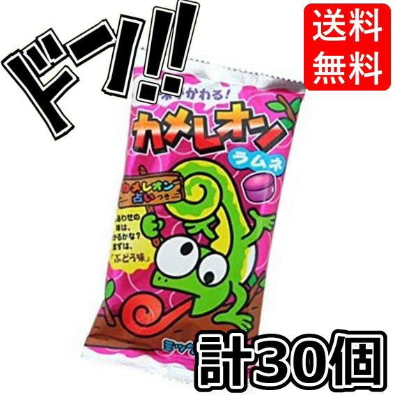 【ポイント10倍】カメレオンラムネ 20g×30個 キッコー カメレオン ラムネ ラムネ菓子 らむね 小分け 縁日 駄菓子 詰め合わせ 送料無料 駄菓子屋 お菓...