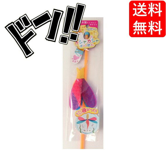 �ڥݥ����10�ܡ۳�����ҡ��ڥåĥ롼�� ǭ�Ѵ�񡡥����㥫����֤�֤󡡥����� 4984937665456