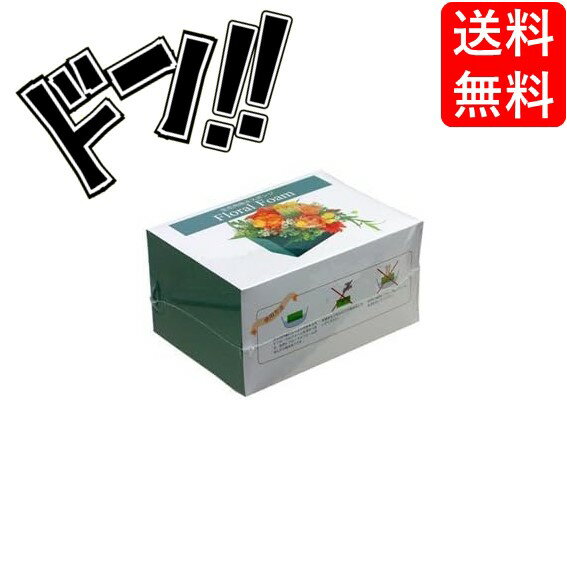 乐天商城 - 【ポイント10倍】ニッパン フローラルフォーム 生花用スポンジ