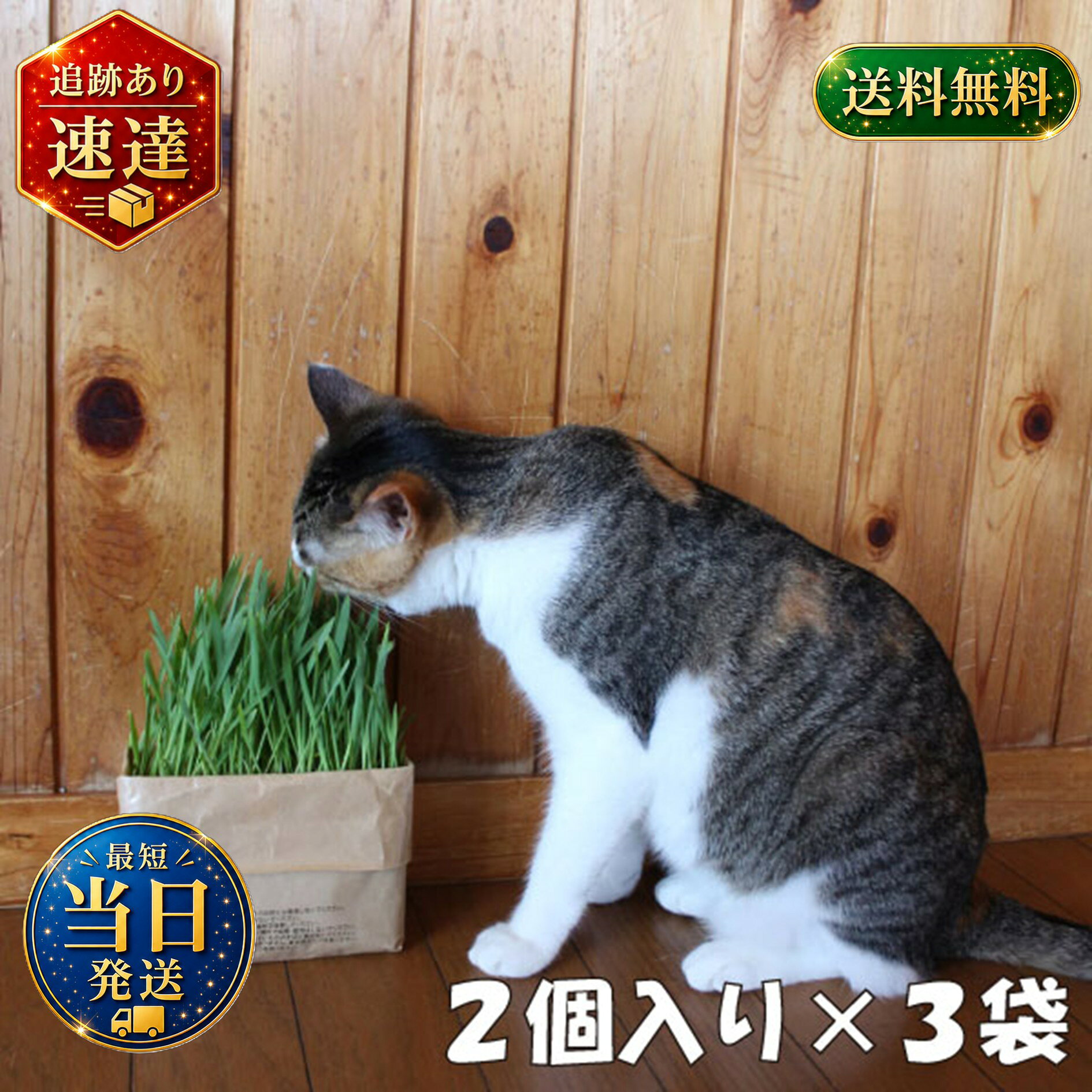 ▼▼▼▼▼▼▼▼▼▼▼▼▼▼▼▼▼▼▼▼▼▼▼▼ ※免責事項※　商品画像はイメージとなりまして、パッケージ変更・内容量の規格変更がある場合がございます。また商品をより安価でご提供させて頂くに際しまして、再梱包（外箱が付かない場合あり）でのお届けとなります。また内容量の規格変更があった場合に関しましては、販売金額から送料を除いた、内容量の差分相当の料金調整をさせて頂きます。上記による返金・返品はお受付できませんでの、ご了承の上お買い求め頂きますようお願い申し上げます。 ▼▼▼▼▼▼▼▼▼▼▼▼▼▼▼▼▼▼▼▼▼▼▼▼ 原産国・地域 日本 仕様・混率 再生粉砕パルプ 主な禁止事項 ※猫に食べさせる以外の目的には使用しないでください。　 ※種子を直接食べさせないでください。　 ※高温・多湿を避けた場所で保管してください。　 ※幼児・子供の手の届く場所で保管・栽培はしないでください。　※火気の近くや倒れやすいもののそばに置かないでください。　※殺虫剤・薬品は使用しないでください。 ■アレルギー情報 メーカーにお問い合わせください。 【注意事項】 パッケージデザイン等は予告なく変更する場合があります。 （※パッケージデザインが異なる場合でも返品、交換の対応は不可となりますので予めご了承ください。） 食べ比べ お試し 人気 イベント 子供 お菓子 美味しい プレゼント 大人気 駄菓子 定番 景品 イベント 縁日 子供会送料無料 大人気 おやつに ポイント消化 おもしろ 駄菓子 箱 縁日 駄菓子 駄菓子 送料無料 サイダー コーラ グレープ オレンジ 駄菓子 業務用