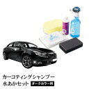 カーシャンプー コーティング車 最高級 カーワックス 洗車 ガラスコーティング コーティング コーティング剤 ガラスコート 油膜 水垢 酸性雨 メンテナンスシャンプー コーティング施工車対応 【 コーティングカーシャンプー 水あかダークカラー用セット 】【 送料無料 】