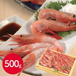 日本海甘えび 500g (23～30尾) 贈答用 お中元 御中元 お歳暮 御歳暮 御祝 内祝 御礼 お返し 贈答