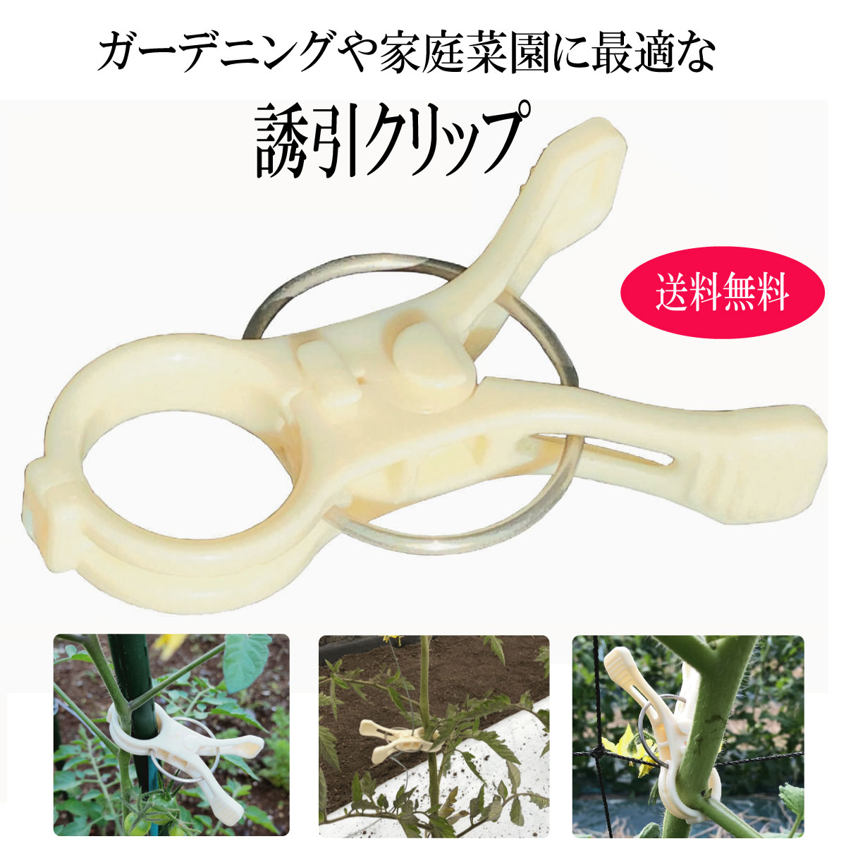楽天市場】洗濯バサミ(ガーデニング・農業|花・ガーデン・DIY 楽天市場】洗濯バサミ(ガーデニング・農業|花・ガーデン・DIY