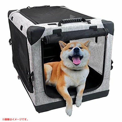 D6003YO 0620_4ڥȥåʡۥڥåȥ ޤ L Totoro ball PT-001  ǭ ꡼ ...