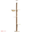 D2009YO ◆0430_13凹【アウトレット品】 ForestCat キャットタワー(245〜265cm) シングル 突っ張り 猫未使用 ペット用品