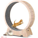 D7108YO ◆0716【アウトレット品】キャットホイール 猫 ホイール ルームランナー Malodramatic MPJ-2 爪とぎ おもちゃ未使用
