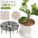 10枚セット プランターカバー 植木鉢 カバー 植木鉢グリッド 観葉植物 いたずら防止 植物 プロテクターキャット 土壌グリッドカバー フラワープロテクター 植木鉢カバー 猫犬掘り防止 ガードカバー 屋内植物 園芸用品 土隠し ABSプラスチック製