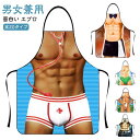 面白い エプロン 仮装 ハロウィンコスプレ セクシー エプロン コスチューム おもしろ エプロン マッチョ コスプレ 男性 ワンピース レディース 変身 おもし...