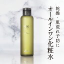 オールインワン 化粧水 メンズ ニキビ 化粧水 アフタシェーブローション スキンケアローション オールインワン 化粧水 コスメ オイリー肌 メンズ コスメ 【化粧水/美容液/乳液/保湿クリーム/4役】150mL 送料無料 幸せラボ Nile （ナイル）