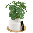 キシマ kishima 人工観葉植物 フェイクグリーン 人工植物 枯れない 造花グリーン 触媒 消臭 抗菌 空気清浄 クローバー KH-61251 Mサイズ