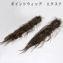 【送料無料】定価の50%OFF!ポイントウィッグ!つけ毛