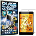 2枚セット ブルーライトカット iPad mini 5 (第 5 世代) 2019年 / iPad mini 4 (第 4 世代) 2015年 硬度10H W硬化製法 強化ガラス 液晶 画面 保護 保護フィルム 液晶保護フィルム 飛散防止 指紋防止 AGC日本製 RISE PRODUCTS