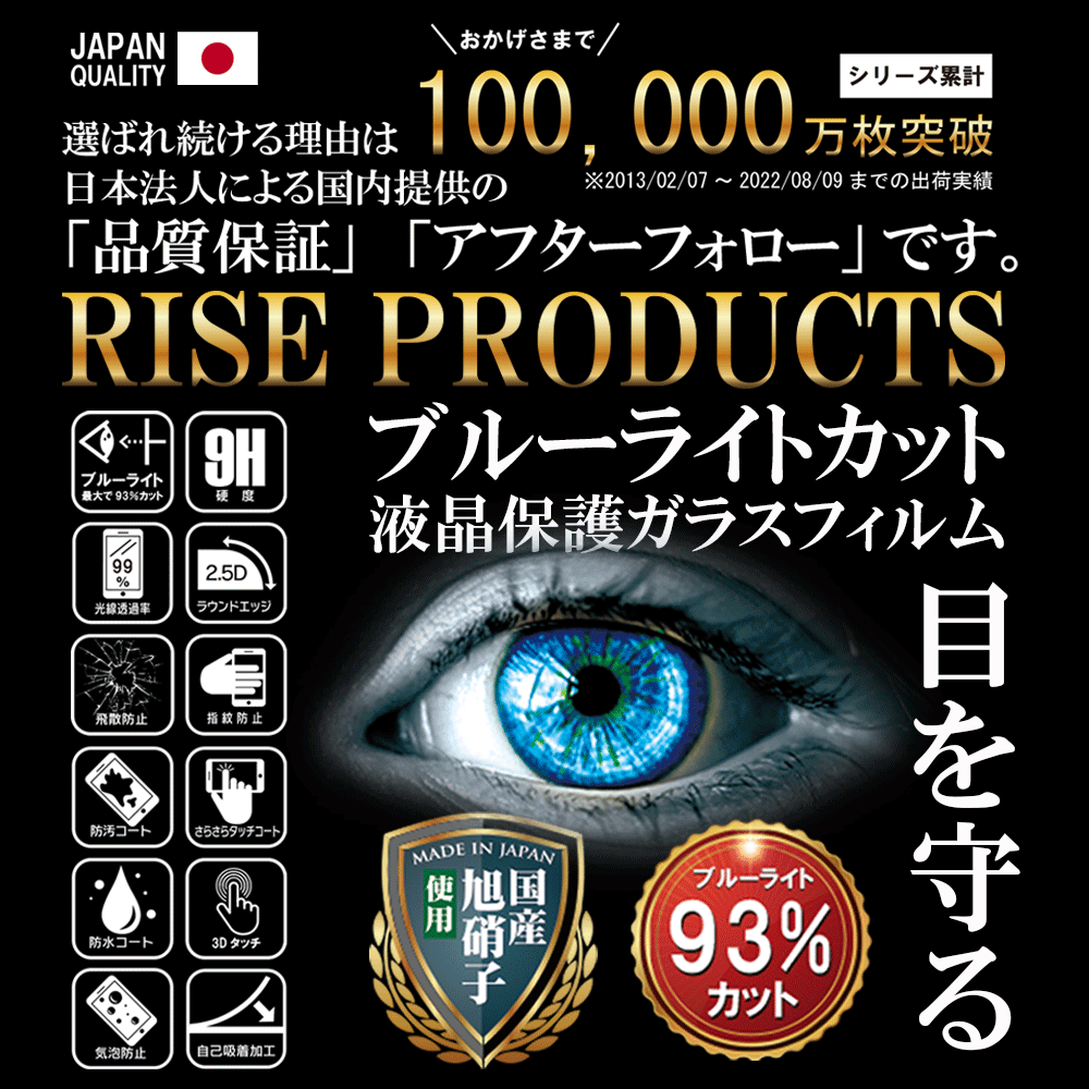 2枚セット ブルーライトカット iPad Pro 11 M4 (2024) 11インチ フィルム ガラスフィルム 硬度10H W硬化製法 強化ガラス 液晶 画面 保護 保護フィルム 液晶保護フィルム 飛散防止 指紋防止 AGC日本製 RISE PRODUCTS