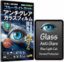 アンチグレア ブルーライトカット iPad 第11世代 (A16) 2025 用/iPad 第10世代 2022 硬度10H W硬化製法 強化ガラス 液晶 画面 保護 保護フィルム 液晶保護フィルム 飛散防止 指紋防止 AGC日本製 RISE PRODUCTS