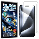 2枚セット ブルーライトカット iPhone 15 Pro Max ガラスフィルム iPhone 15 Pro Max フィルム 硬度10H W硬化製法 強化ガ...