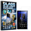 2枚セット ブルーライトカット ウォークマン NW-A300 シリーズ (NW-A306/NW-A307) ガラスフィルム ウォークマン NW-A300 シリー...
