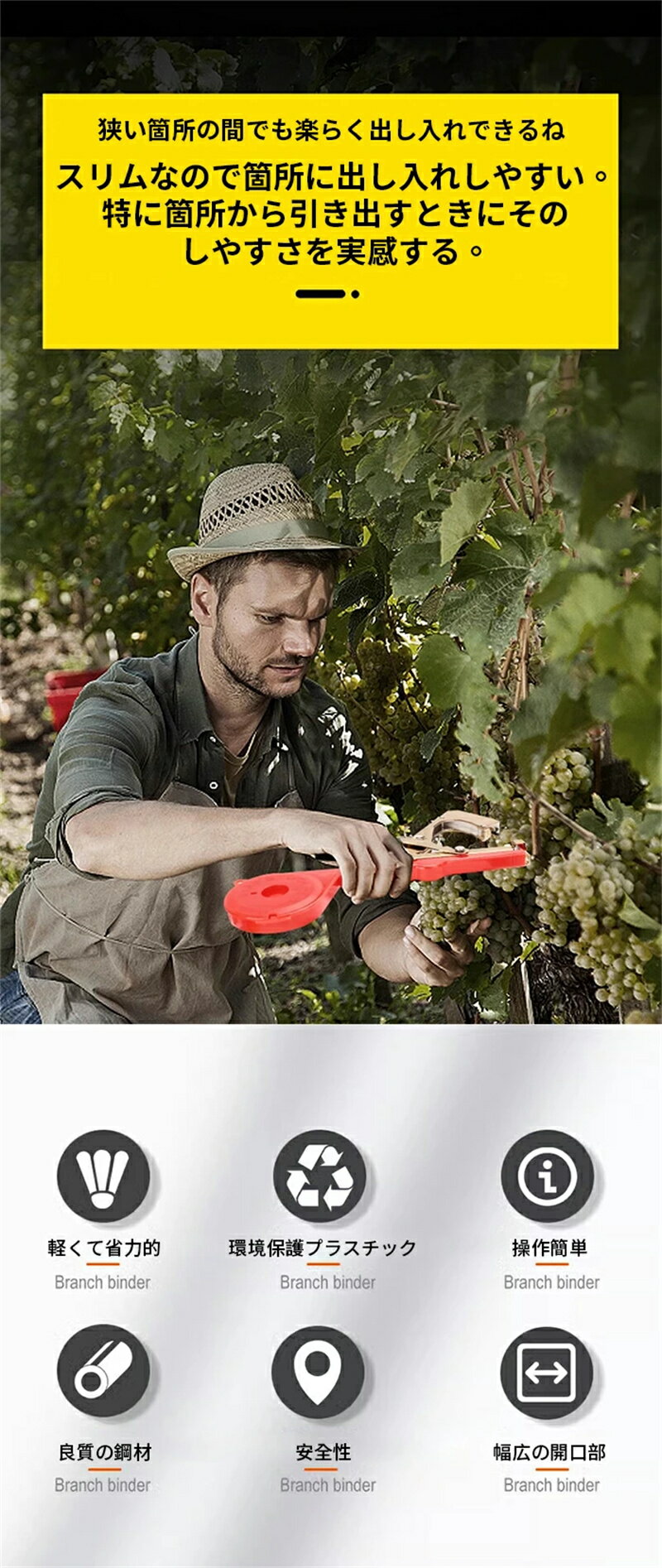 ����ѷ�«�� Ķ�ڲ� �ơ���20���դ��ڼ�ư��«���۱���� Ͷ����«�� Ͷ�� ��« �ơ��ץʡ� ���Ͷ�� ���ȥơ��ץġ��� ��«�� ��ʪ��«�� ���ȥơ��ץġ��� �����ǥ� �޸��깩�� �ϥ�ɥإ�� Ĵ����ǽ ����ñ �Ҽ� ����ġ���