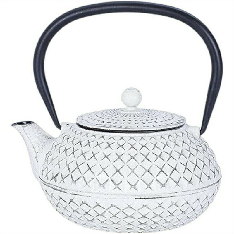 鉄瓶 急須 南部鉄器 鉄やかん 鋳鉄 ティーポット 茶こし付き 紅茶 ポット 手作り 耐熱急須 白いやかん 鉄分補給 ih対応 直火可 やかん 鉄びん 鋳物 鉄...