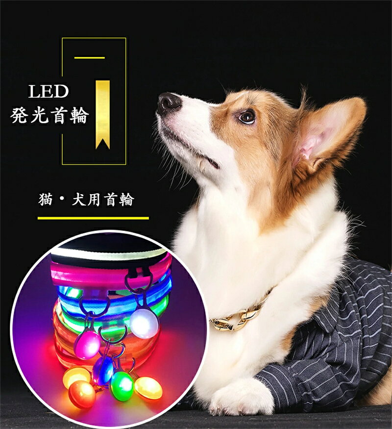 光る首輪犬用首輪光るLEDライトカ...