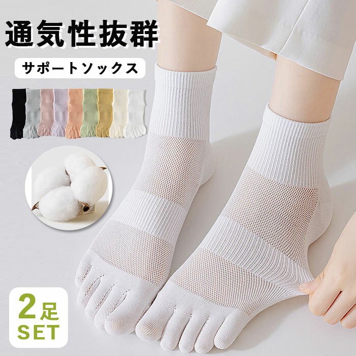 400OFFо2ݥǡۥå ݡå ˤ ǥ ݡ å 2­å ɽ  5ܻ 륽å Ф л ȥå ˥ åȥ ʷ  100̵  ̵ ®[]^bm1533^