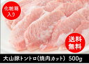 トントロ 国産 豚肉 ブランド豚 鳥取県産 大山豚 【500g】 焼肉 豚トロ おいしい お肉 鳥取県 国産豚 バーベキュー 自炊 簡単 料理 おうちでごはん ギフト プレゼント に オススメ 食品 鳥取 …