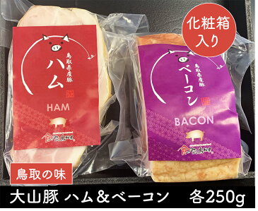 ベーコン & ハム セット 国産 豚肉 ブランド豚 鳥取県産 大山豚 【500g(各250g)】 豚バラ 豚ばら 焼肉 おいしい お肉 鳥取県 国産豚 バーベキュー 自炊 簡単 料理 おうちでごはん ギフト プレゼント に オススメ 食品 鳥取 お中元 お歳暮 お取り寄せグルメ