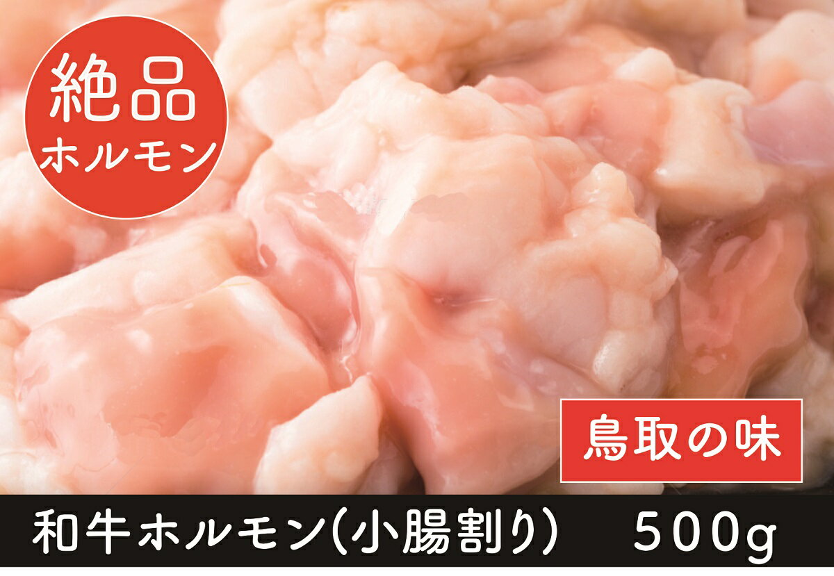 ホルモン 焼肉 鳥取県産 国産 牛肉 和牛 【500g】 小