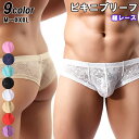 メンズ ビキニ ブリーフ シースルー ビキニブリーフ セクシー レース スケスケ 透け メンズビキニ ショーツ ビキニパンツ ハイカットバック 男性下着 メンズ...