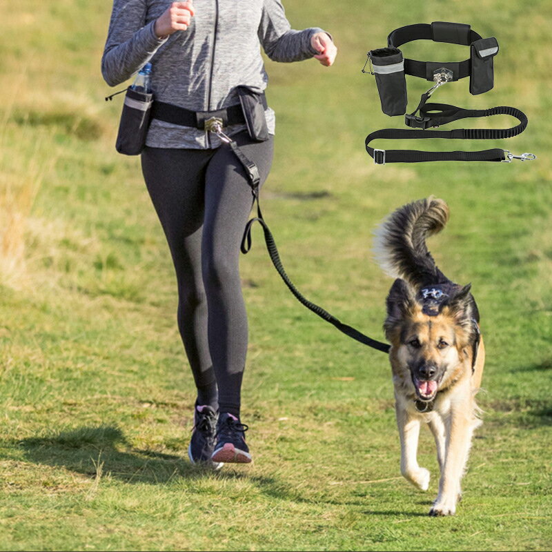 犬用リード 腰ベルト付き 収納袋 携帯収納 小物入れ 腰掛け ドッグリード 小型犬 中型犬 大型犬 おしゃ..