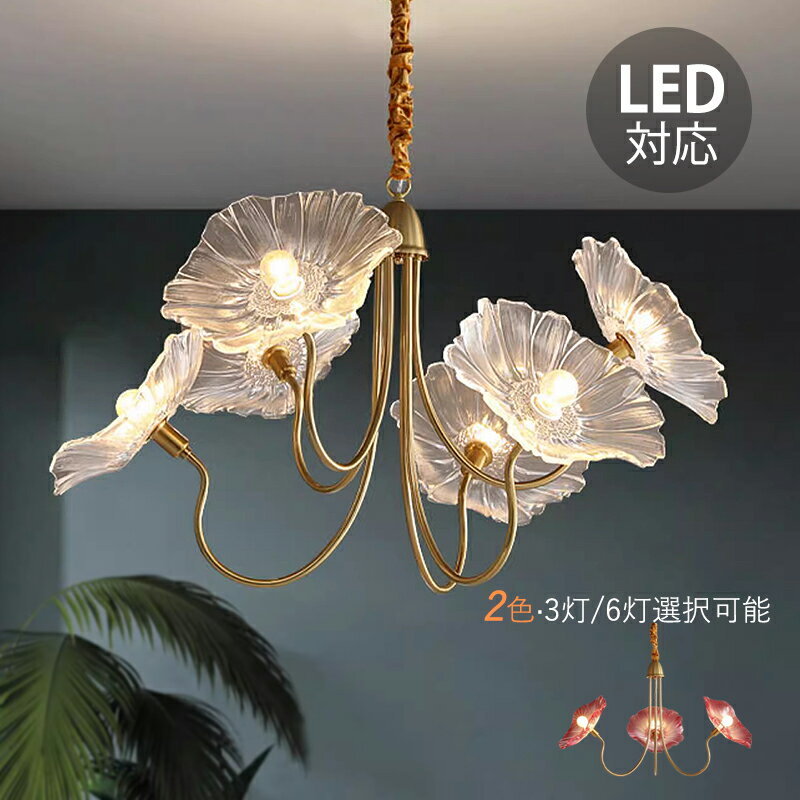ڥȥ饤 緿 ̲  ޷ LEDб ǥꥢ 礭 饹 ϡ ŷ  610 󥰥...