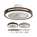 シーリングファンライト 薄型 北欧 おしゃれ LED 6畳 8畳 10畳 シーリングライト ファン付き リビング ダイニング サーキュレーター 静音 円形 透か...
