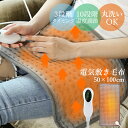電気毛布 敷き毛布 速暖 発熱 ひざ掛け 電気ブランケット シングル 10段階温度調節 暖かい おしゃれ 北欧 発熱毛布 掛け敷き兼用 冬 オフィス 寝室 電熱...