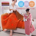 電気毛布 電気敷き毛布 電気敷毛布 3段温度調整 usb給電 電気ブランケット 電気しき毛布 ダニ退治 敷き毛布 掛け毛布 洗える 敷毛布 電気ひざ掛け毛布 タ...