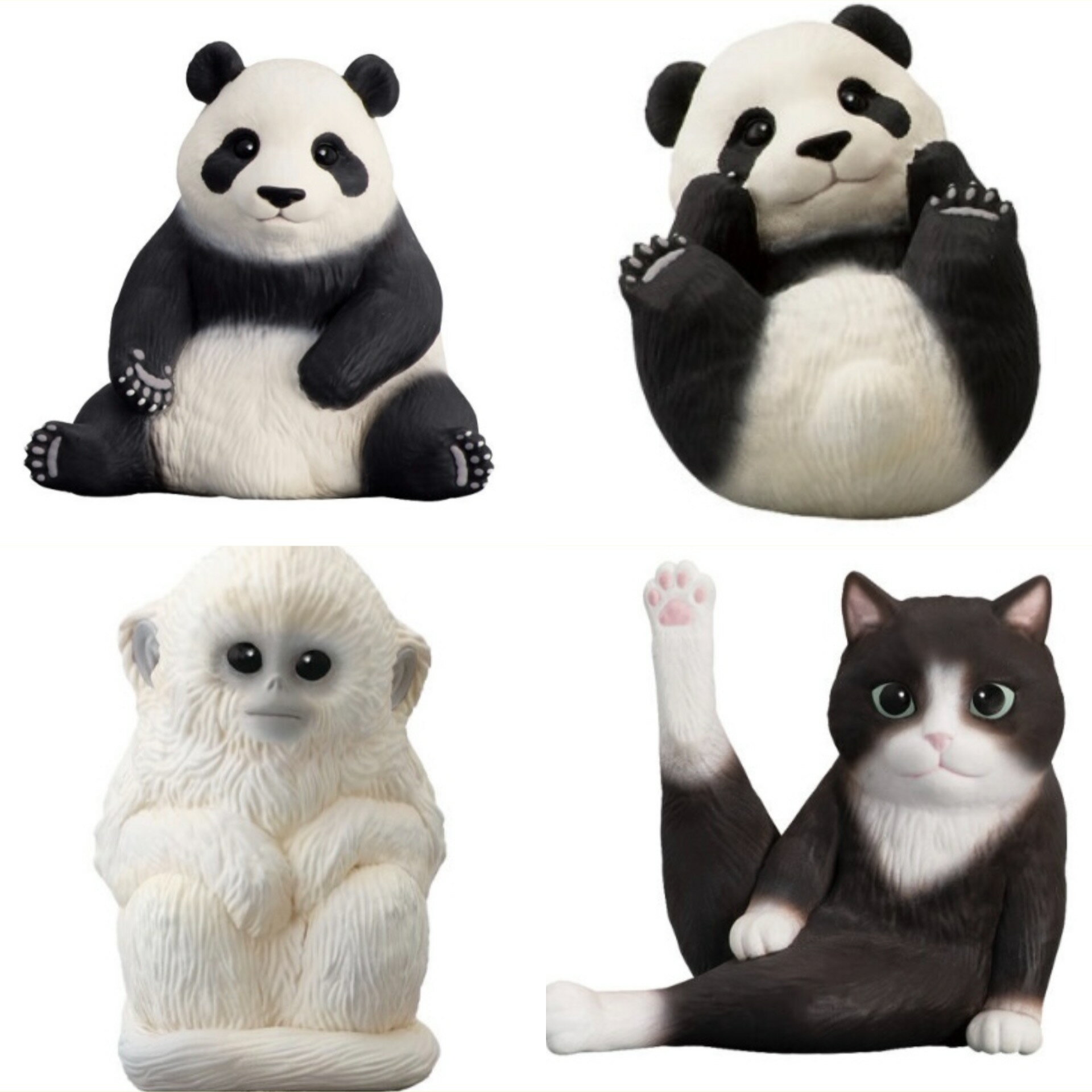 ƤΤե9 ѥ ѥ٥ӡ 󥷥٥ӡ ǭ 4ĥå